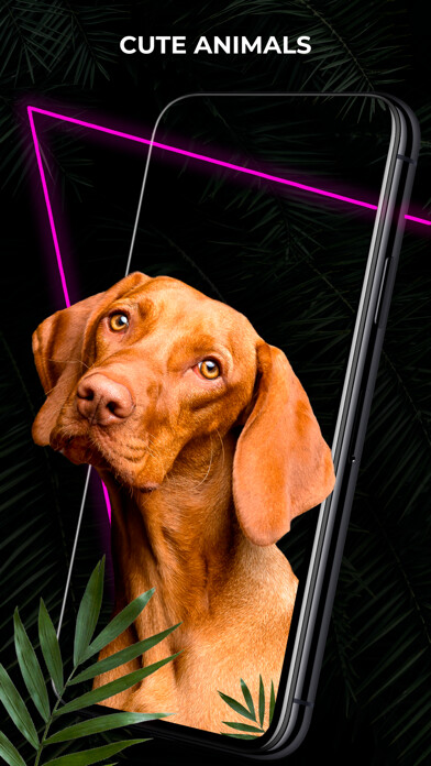 Emulate iPhone app Wallpapers 4? for phone using MyAndroid