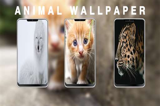Run android online APK Wallpapers 4K Image +99999 ANIME from MyAndroid or emulate Wallpapers 4K Image +99999 ANIME using MyAndroid