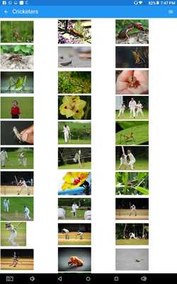 Emulate Android APK Wallpapers Factory