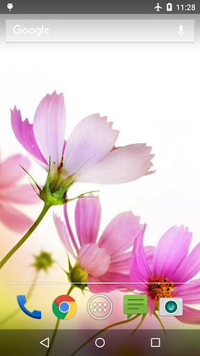 Run android online APK Wallpapers Flower from MyAndroid or emulate Wallpapers Flower using MyAndroid Run android online APK Wallpapers Flower from MyAndroid or emulate Wallpapers Flower using MyAndroid