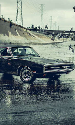 Run android online APK Wallpapers For DODGE Cars Fans from MyAndroid or emulate Wallpapers For DODGE Cars Fans using MyAndroid Run android online APK Wallpapers For DODGE Cars Fans from MyAndroid or emulate Wallpapers For DODGE Cars Fans using MyAndroid
