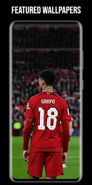 Run android online APK Wallpapers for Gakpo from MyAndroid or emulate Wallpapers for Gakpo using MyAndroid Run android online APK Wallpapers for Gakpo from MyAndroid or emulate Wallpapers for Gakpo using MyAndroid