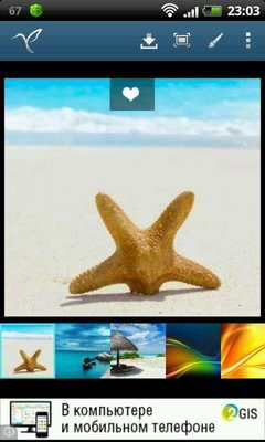 Emulate Android APK Wallpapers Free - Colibri Emulate Android APK Wallpapers Free - Colibri