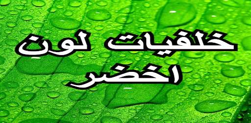 Run android online APK Wallpapers Green 2021 from MyAndroid or emulate Wallpapers Green 2021 using MyAndroid