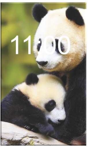 Run android online APK Wallpapers Panda Cute HD Offline from MyAndroid or emulate Wallpapers Panda Cute HD Offline using MyAndroid Run android online APK Wallpapers Panda Cute HD Offline from MyAndroid or emulate Wallpapers Panda Cute HD Offline using MyAndroid
