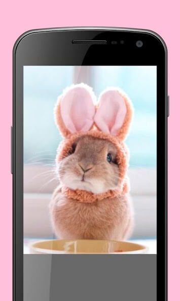 Run android online APK Wallpapers: Rabbits from MyAndroid or emulate Wallpapers: Rabbits using MyAndroid