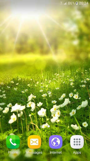 Run android online APK Wallpapers Spring from MyAndroid or emulate Wallpapers Spring using MyAndroid Run android online APK Wallpapers Spring from MyAndroid or emulate Wallpapers Spring using MyAndroid