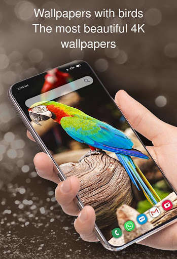 Run android online APK Wallpapers with birds from MyAndroid or emulate Wallpapers with birds using MyAndroid Run android online APK Wallpapers with birds from MyAndroid or emulate Wallpapers with birds using MyAndroid