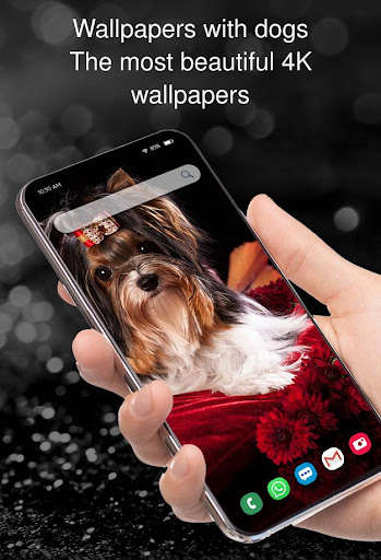 Emulate Android APK Wallpapers with dogs Emulate Android APK Wallpapers with dogs