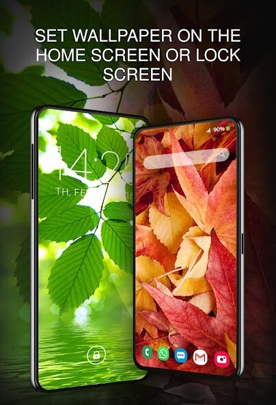 Run android online APK wallpapers with leaves from MyAndroid or emulate wallpapers with leaves using MyAndroid Run android online APK wallpapers with leaves from MyAndroid or emulate wallpapers with leaves using MyAndroid