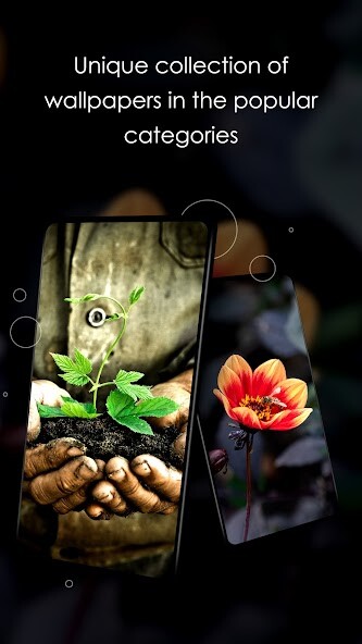 Run android online APK Wallpapers with plants from MyAndroid or emulate Wallpapers with plants using MyAndroid Run android online APK Wallpapers with plants from MyAndroid or emulate Wallpapers with plants using MyAndroid