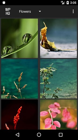 Emulate Android APK Wallpaperz HD Emulate Android APK Wallpaperz HD