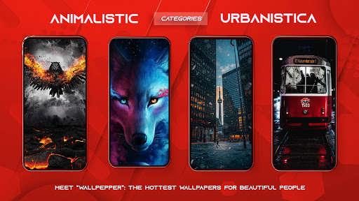 Run android online APK WallPepper - 4K/HD Cool Backgrounds for Your Phone from MyAndroid or emulate WallPepper - 4K/HD Cool Backgrounds for Your Phone using MyAndroid Run android online APK WallPepper - 4K/HD Cool Backgrounds for Your Phone from MyAndroid or emulate WallPepper - 4K/HD Cool Backgrounds for Your Phone using MyAndroid