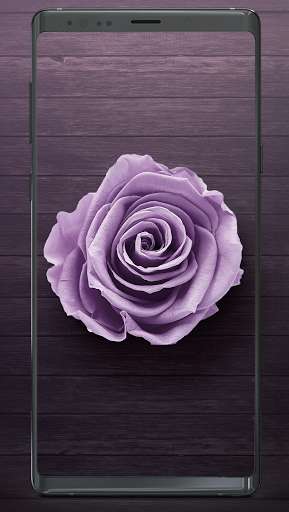 Run android online APK Wallpi-Wallpapers from MyAndroid or emulate Wallpi-Wallpapers using MyAndroid