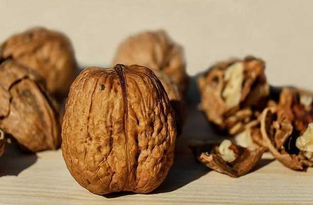 Emulate Android APK Walnuts For Health Emulate Android APK Walnuts For Health