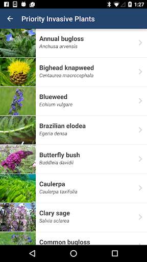 Emulate Android APK Washington Invasives Emulate Android APK Washington Invasives