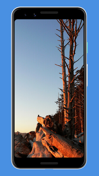 Emulate Android APK Washington Wallpapers Emulate Android APK Washington Wallpapers