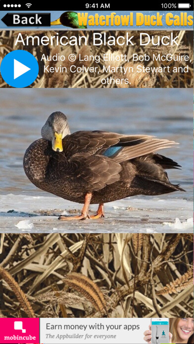 Emulate iPhone app Waterfowl Duck Calls using MyAndroid Emulate iPhone app Waterfowl Duck Calls using MyAndroid