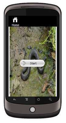 Emulate Android APK Water Moccasin Emulate Android APK Water Moccasin