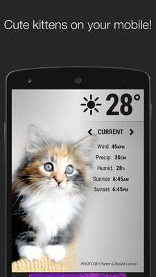 Emulate Android APK Weather Kittens