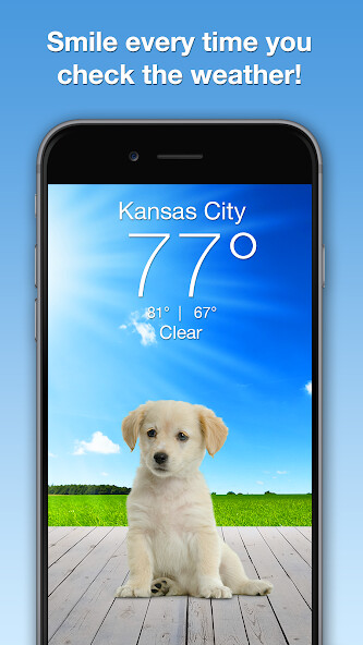 Run android online APK Weather Puppy - App Widget Weather Forecast from MyAndroid or emulate Weather Puppy - App Widget Weather Forecast using MyAndroid Run android online APK Weather Puppy - App Widget Weather Forecast from MyAndroid or emulate Weather Puppy - App Widget Weather Forecast using MyAndroid