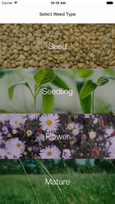 Emulate iPhone app Weed Identifier using MyAndroid
