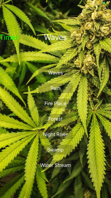 Emulate iPhone app Weed-Laxing Sound using MyAndroid Emulate iPhone app Weed-Laxing Sound using MyAndroid