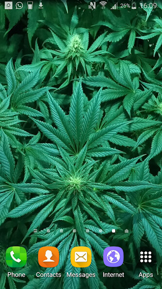 Run android online APK Weed Live Wallpaper from MyAndroid or emulate Weed Live Wallpaper using MyAndroid