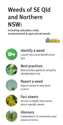 Run android online APK Weeds of South East QLD and Northern NSW from MyAndroid or emulate Weeds of South East QLD and Northern NSW using MyAndroid