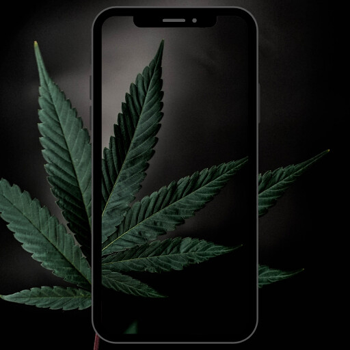 Run android online APK Weed wallpapers Neon Weed Live from MyAndroid or emulate Weed wallpapers Neon Weed Live using MyAndroid
