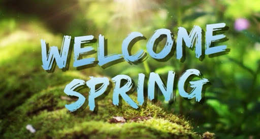 Run android online APK Welcome to Spring Story from MyAndroid or emulate Welcome to Spring Story using MyAndroid Run android online APK Welcome to Spring Story from MyAndroid or emulate Welcome to Spring Story using MyAndroid