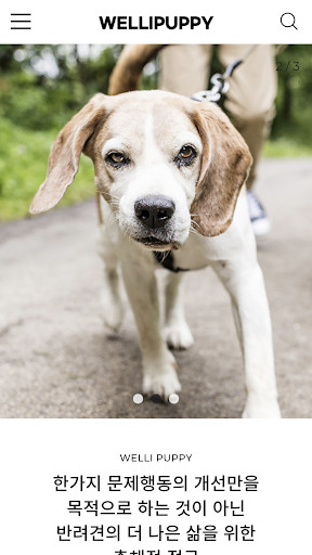 Run android online APK wellipuppy from MyAndroid or emulate wellipuppy using MyAndroid