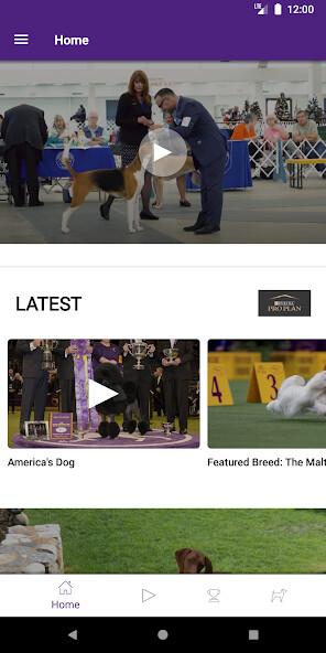 Run android online APK Westminster Kennel Club from MyAndroid or emulate Westminster Kennel Club using MyAndroid
