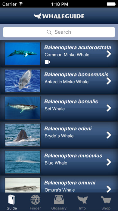 Emulate iPhone app WhaleGuide for iPhone using MyAndroid