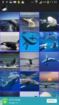 Emulate Android APK Whales Wallpaper Emulate Android APK Whales Wallpaper