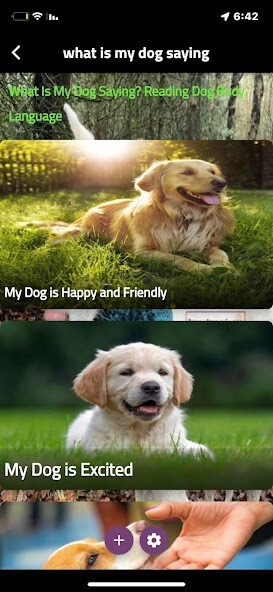 Run android online APK what is my doog saying from MyAndroid or emulate what is my doog saying using MyAndroid Run android online APK what is my doog saying from MyAndroid or emulate what is my doog saying using MyAndroid