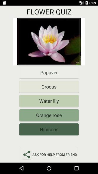 Run android online APK What Kind of Flower Are You ? from MyAndroid or emulate What Kind of Flower Are You ? using MyAndroid Run android online APK What Kind of Flower Are You ? from MyAndroid or emulate What Kind of Flower Are You ? using MyAndroid