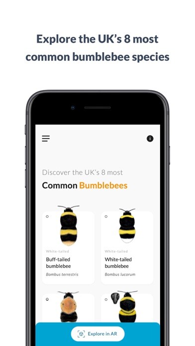 Emulate iPhone app What’s that bumblebee using MyAndroid