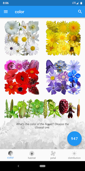 Run android online APK Whats that flower? from MyAndroid or emulate Whats that flower? using MyAndroid Run android online APK Whats that flower? from MyAndroid or emulate Whats that flower? using MyAndroid