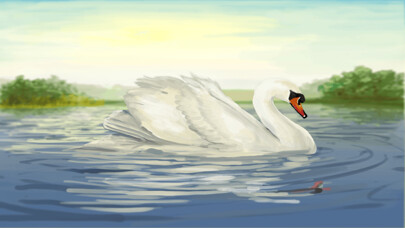 Emulate iPhone app Where Do Swans Sleep? using MyAndroid