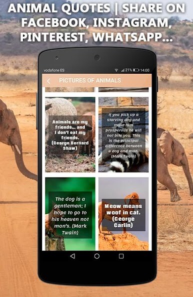 Run android online APK Which animal are you? Quiz from MyAndroid or emulate Which animal are you? Quiz using MyAndroid