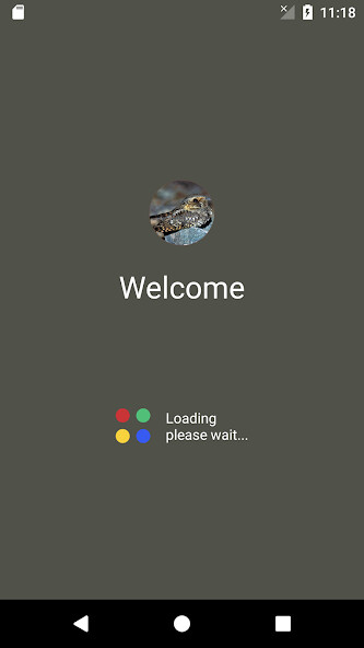 Run android online APK Whippoorwill bird sounds from MyAndroid or emulate Whippoorwill bird sounds using MyAndroid Run android online APK Whippoorwill bird sounds from MyAndroid or emulate Whippoorwill bird sounds using MyAndroid