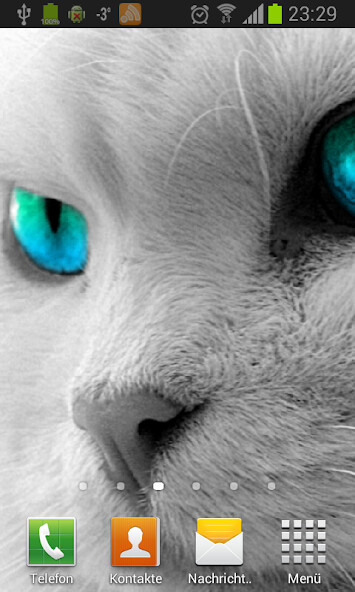 Run android online APK White Cats Live Wallpaper from MyAndroid or emulate White Cats Live Wallpaper using MyAndroid