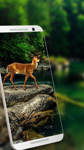 Run android online APK White Deer 3D Live wallpaper from MyAndroid or emulate White Deer 3D Live wallpaper using MyAndroid