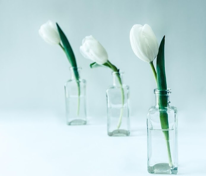 Run android online APK White flowers wallpapers from MyAndroid or emulate White flowers wallpapers using MyAndroid