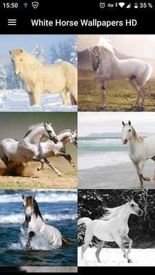 Emulate Android APK White Horse Wallpapers HD Emulate Android APK White Horse Wallpapers HD