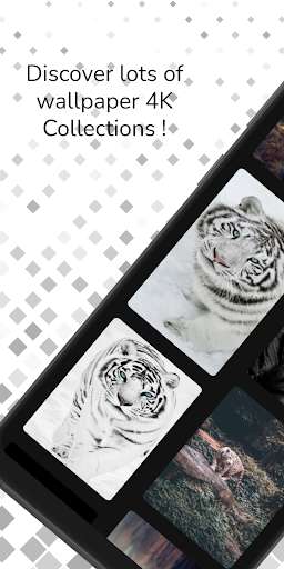 Run android online APK White Tiger Wallpaper 4K from MyAndroid or emulate White Tiger Wallpaper 4K using MyAndroid