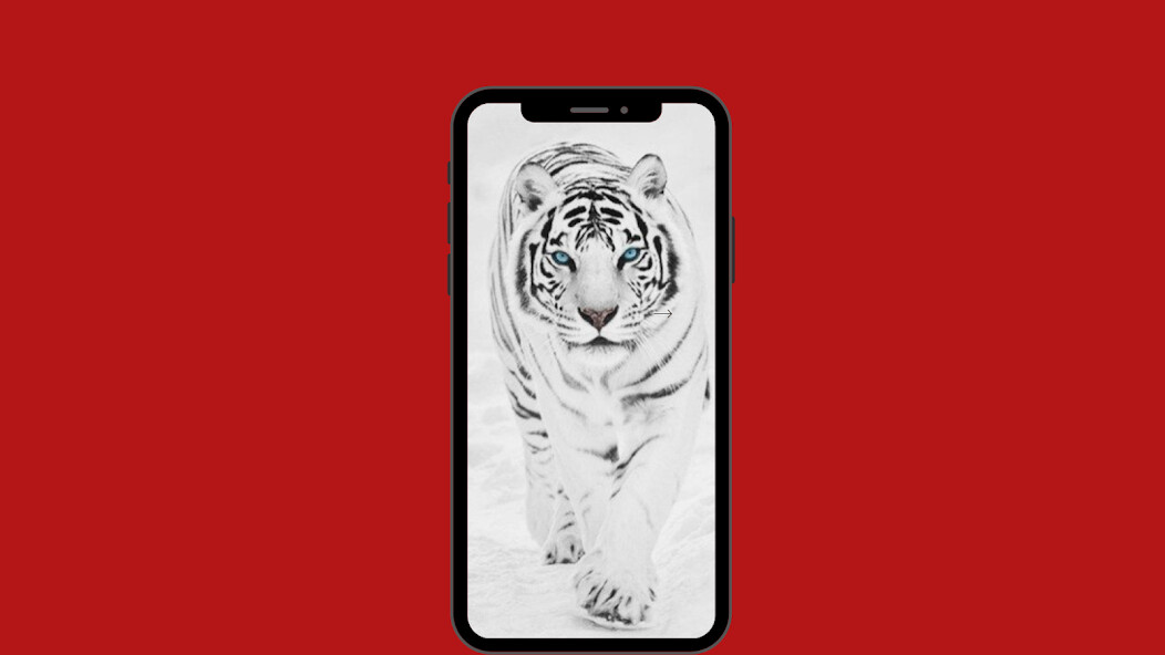 Run android online APK White Tiger Wallpaper HD 4K from MyAndroid or emulate White Tiger Wallpaper HD 4K using MyAndroid Run android online APK White Tiger Wallpaper HD 4K from MyAndroid or emulate White Tiger Wallpaper HD 4K using MyAndroid
