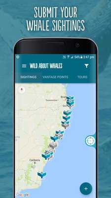 Emulate Android APK Wild About Whales