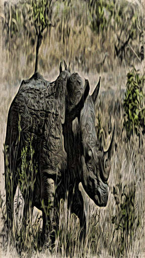 Run android online APK Wild African Animals Wallpaper HD from MyAndroid or emulate Wild African Animals Wallpaper HD using MyAndroid Run android online APK Wild African Animals Wallpaper HD from MyAndroid or emulate Wild African Animals Wallpaper HD using MyAndroid